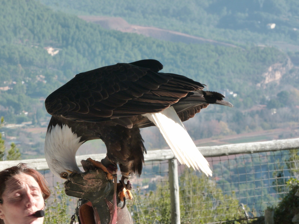 No s'ha trobat l'arxiu